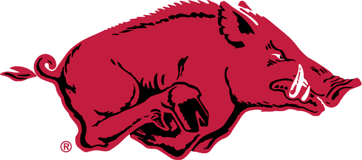 Arkansas Razorbacks 1967-2000 Primary Logo diy DTF decal sticker